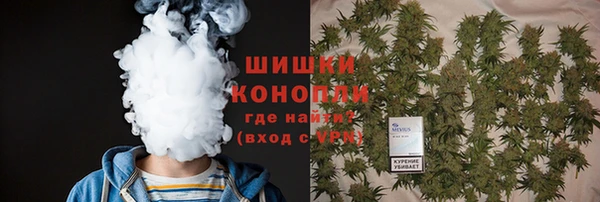сатива Волоколамск