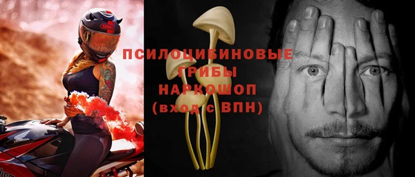 сатива Волоколамск