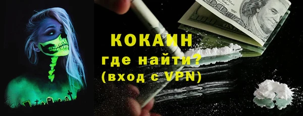 сатива Волоколамск
