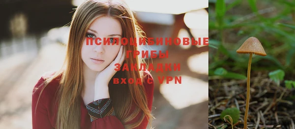 сатива Волоколамск