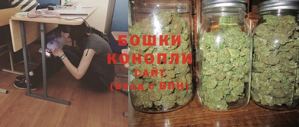 сатива Волоколамск