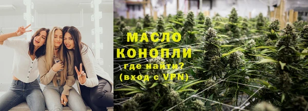 сатива Волоколамск