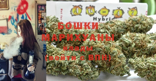сатива Волоколамск