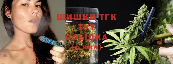 сатива Волоколамск